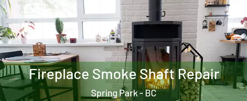 Fireplace Smoke Shaft Repair Spring Park - BC