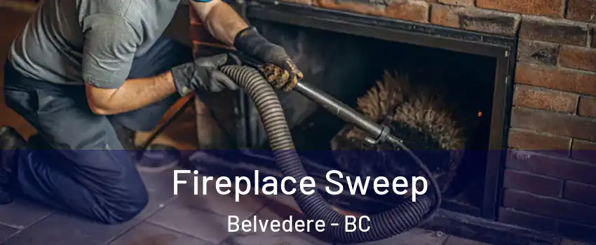  Fireplace Sweep Belvedere - BC