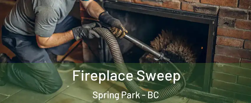  Fireplace Sweep Spring Park - BC