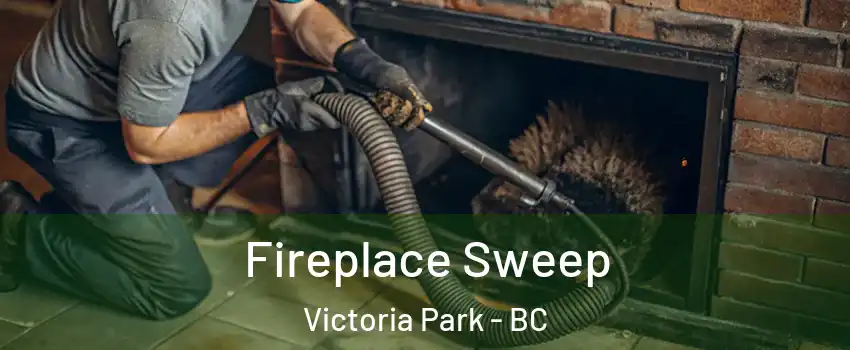  Fireplace Sweep Victoria Park - BC
