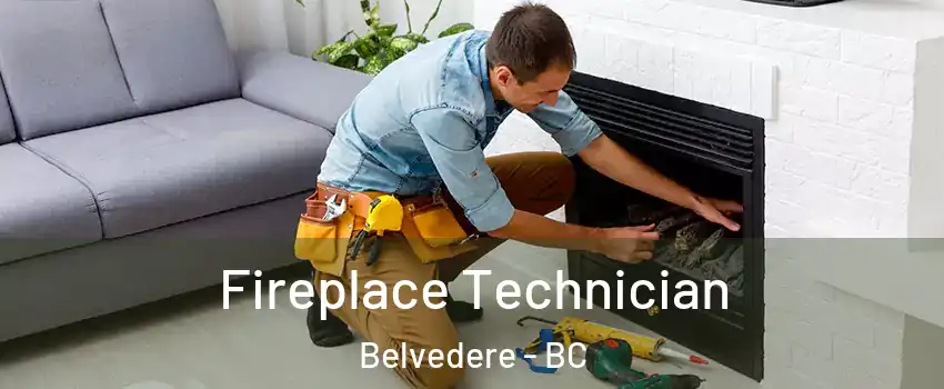 Fireplace Technician Belvedere - BC