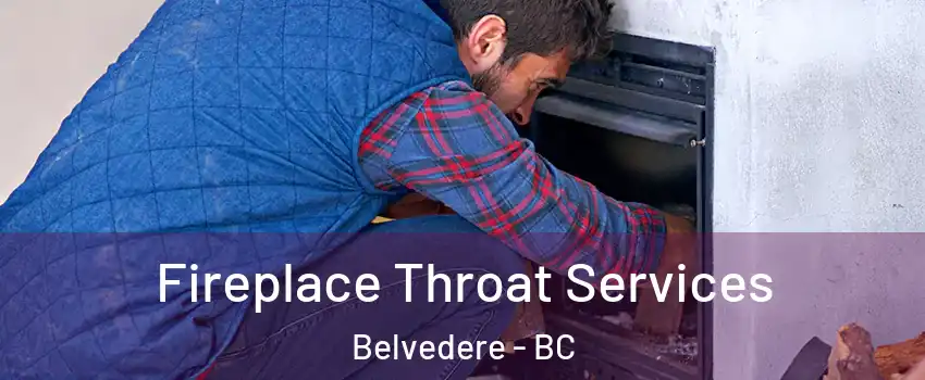 Fireplace Throat Services Belvedere - BC