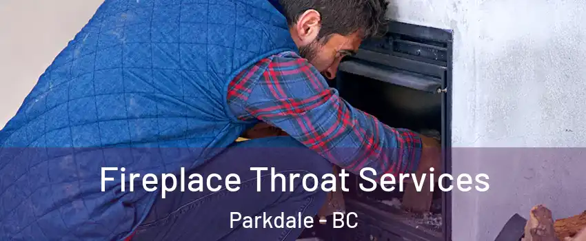  Fireplace Throat Services Parkdale - BC