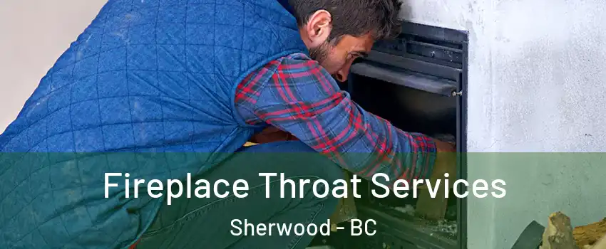  Fireplace Throat Services Sherwood - BC