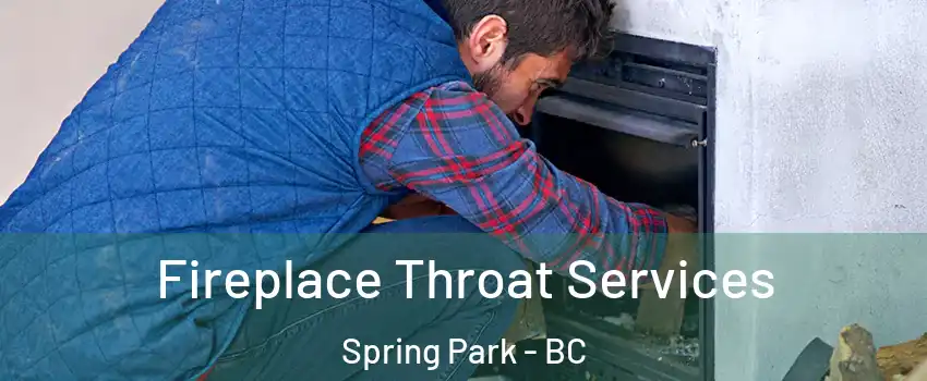  Fireplace Throat Services Spring Park - BC