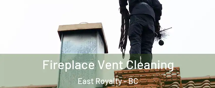  Fireplace Vent Cleaning East Royalty - BC