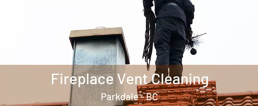  Fireplace Vent Cleaning Parkdale - BC