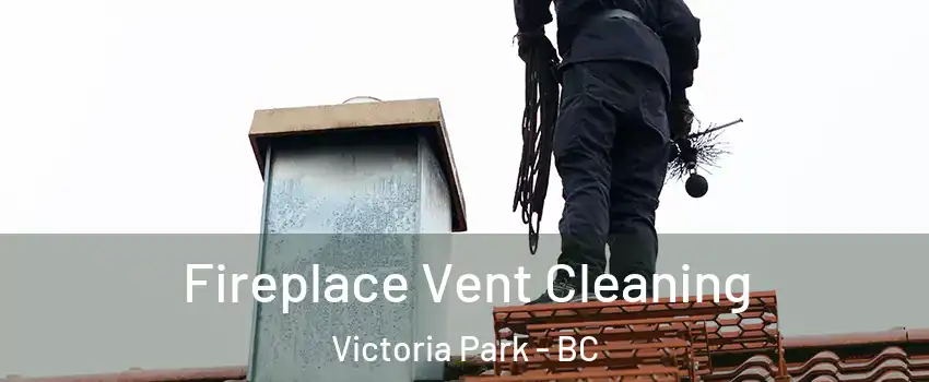  Fireplace Vent Cleaning Victoria Park - BC