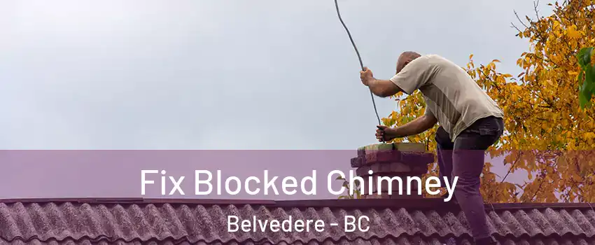  Fix Blocked Chimney Belvedere - BC