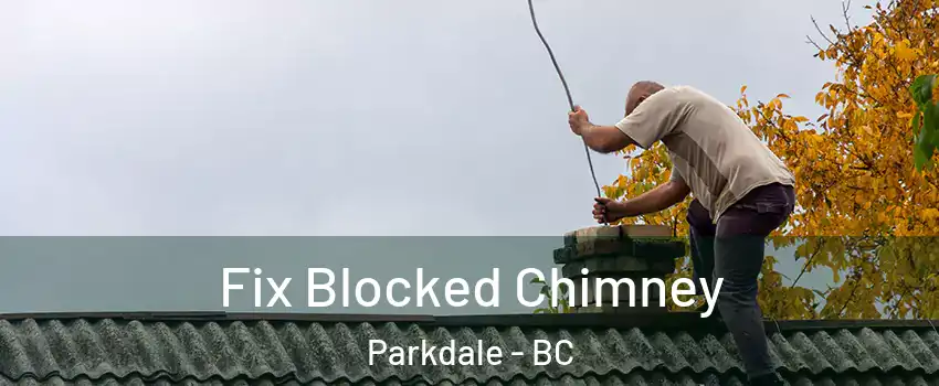  Fix Blocked Chimney Parkdale - BC