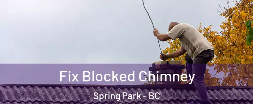  Fix Blocked Chimney Spring Park - BC