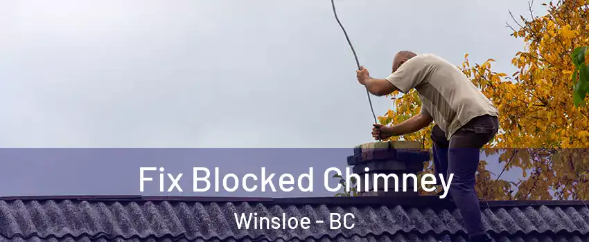  Fix Blocked Chimney Winsloe - BC