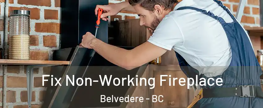  Fix Non-Working Fireplace Belvedere - BC