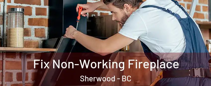  Fix Non-Working Fireplace Sherwood - BC