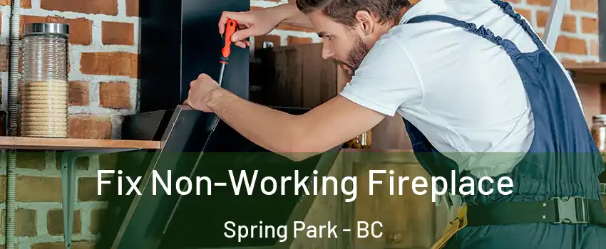  Fix Non-Working Fireplace Spring Park - BC