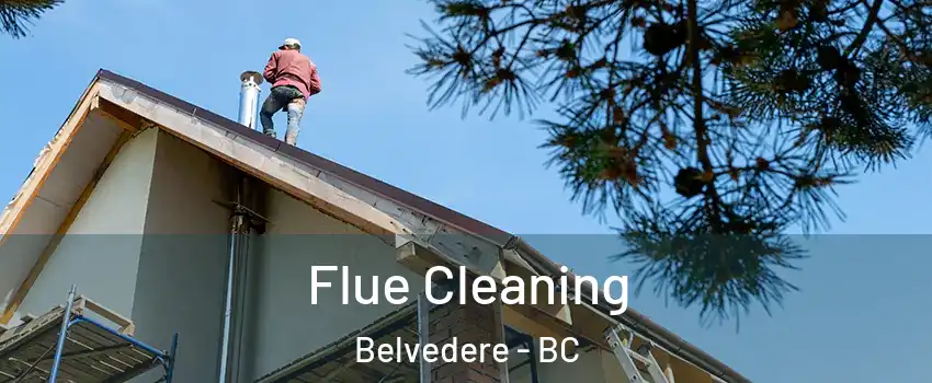  Flue Cleaning Belvedere - BC