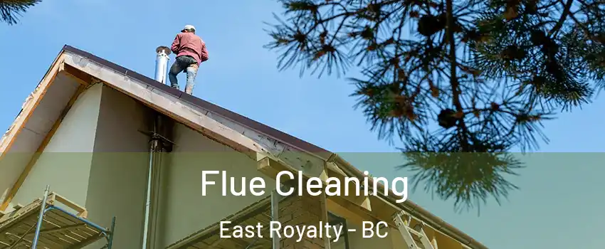  Flue Cleaning East Royalty - BC