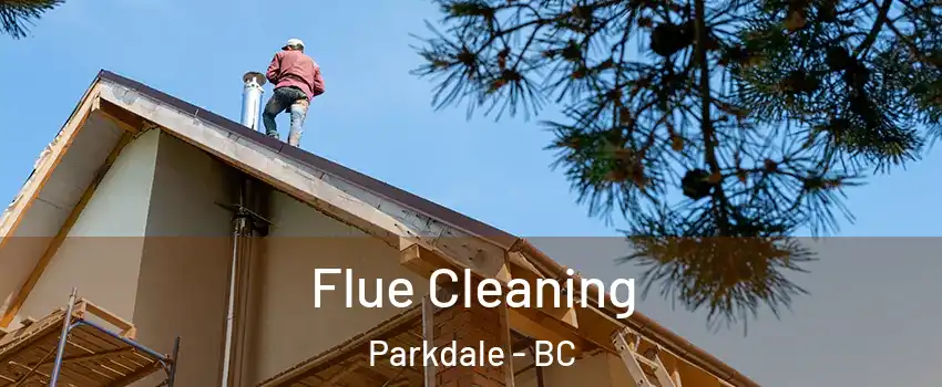  Flue Cleaning Parkdale - BC