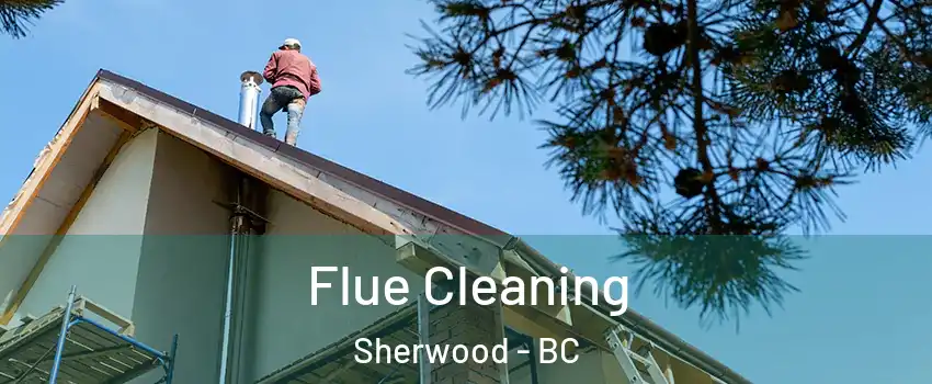  Flue Cleaning Sherwood - BC