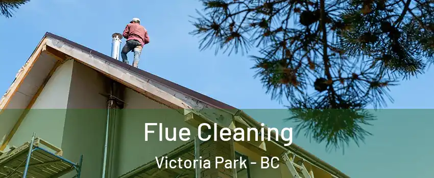  Flue Cleaning Victoria Park - BC