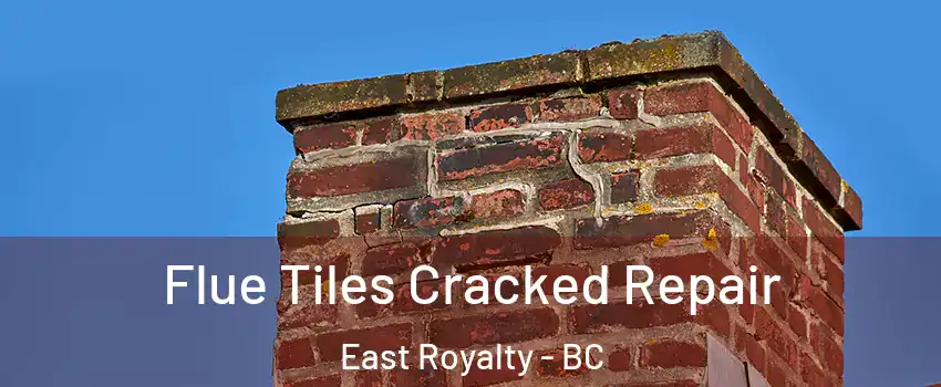  Flue Tiles Cracked Repair East Royalty - BC