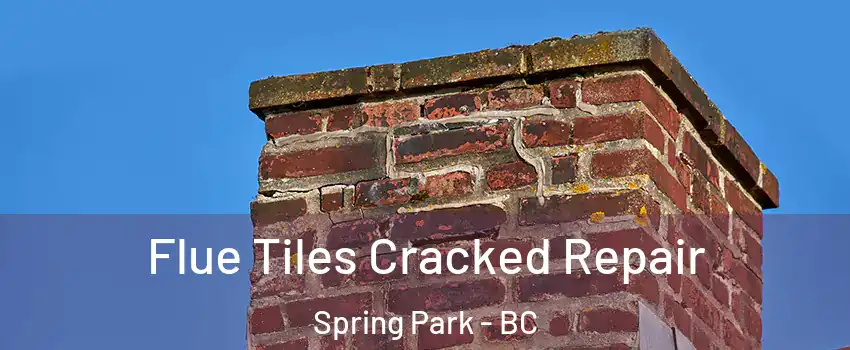  Flue Tiles Cracked Repair Spring Park - BC