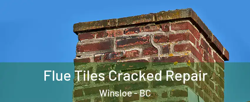 Flue Tiles Cracked Repair Winsloe - BC