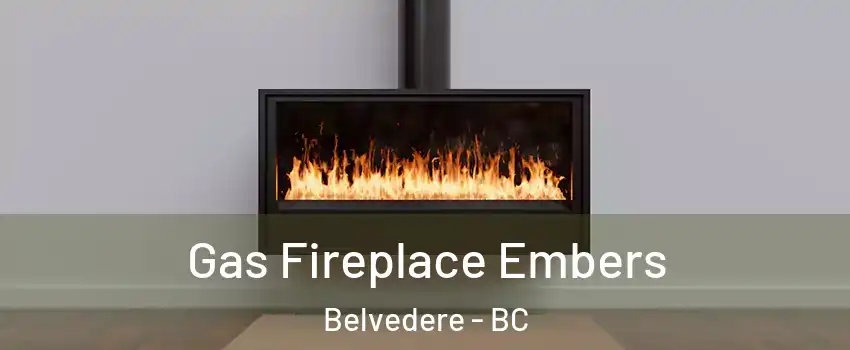  Gas Fireplace Embers Belvedere - BC
