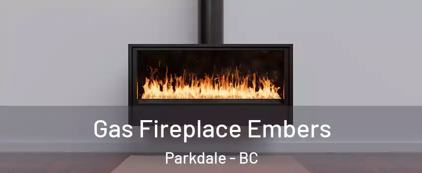  Gas Fireplace Embers Parkdale - BC