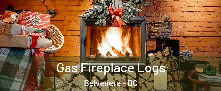 Gas Fireplace Logs Belvedere - BC