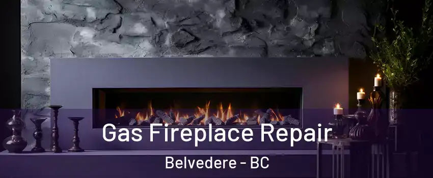 Gas Fireplace Repair Belvedere - BC