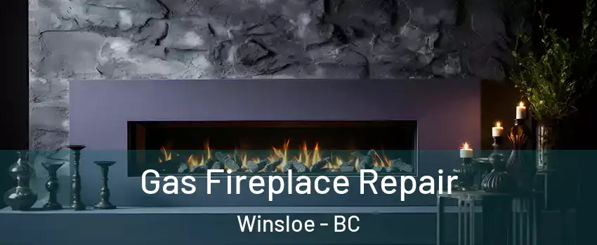  Gas Fireplace Repair Winsloe - BC