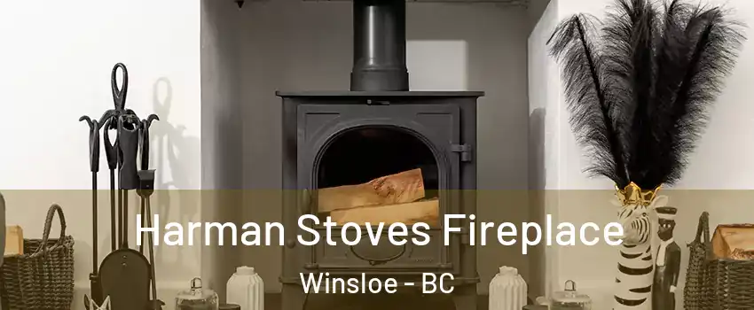  Harman Stoves Fireplace Winsloe - BC