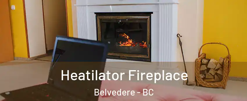  Heatilator Fireplace Belvedere - BC