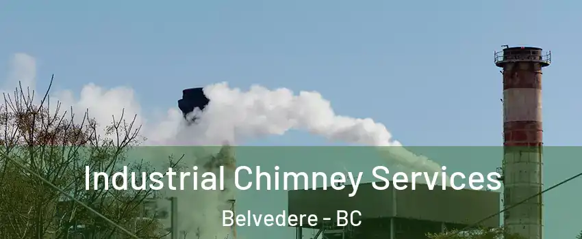  Industrial Chimney Services Belvedere - BC