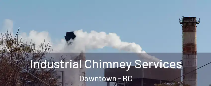 Industrial Chimney Services Downtown - BC