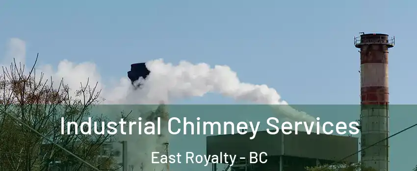  Industrial Chimney Services East Royalty - BC