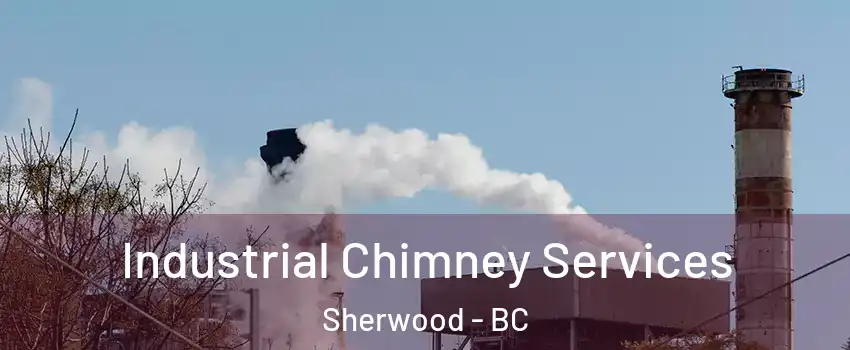  Industrial Chimney Services Sherwood - BC