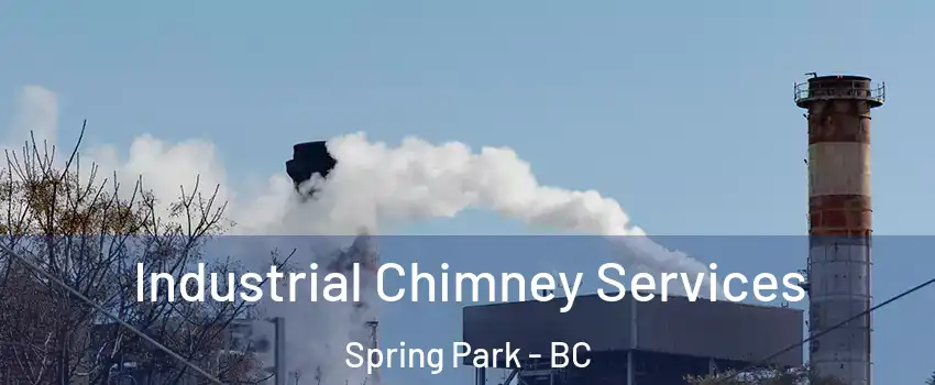  Industrial Chimney Services Spring Park - BC