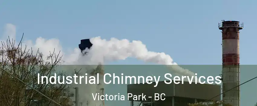  Industrial Chimney Services Victoria Park - BC