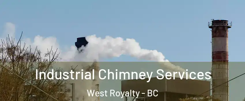  Industrial Chimney Services West Royalty - BC