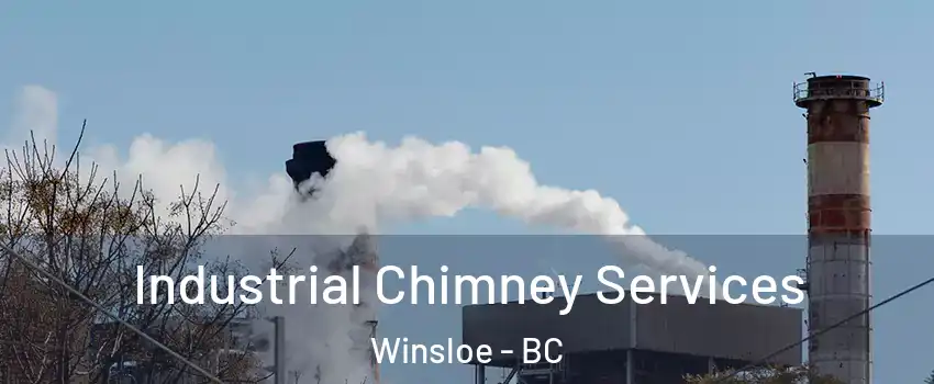 Industrial Chimney Services Winsloe - BC