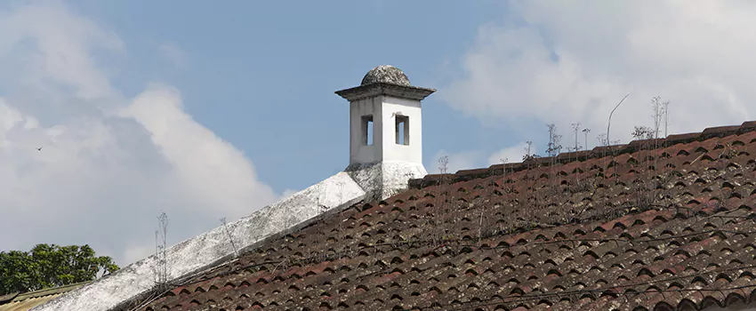 Wind-Resistant Chimney Caps Installation and Repair Services in Victoria, British Columbia