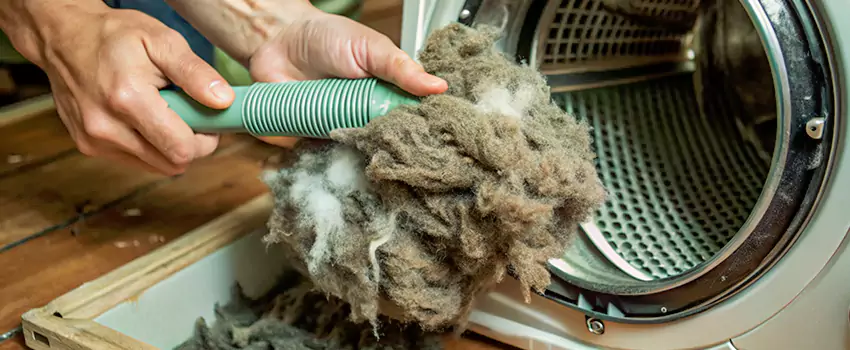 Best Dryer Lint Removal Company in Victoria, British Columbia