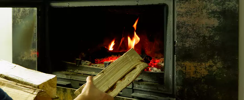 Wood-Burning Fireplace Smell Removal Services in Victoria, British Columbia