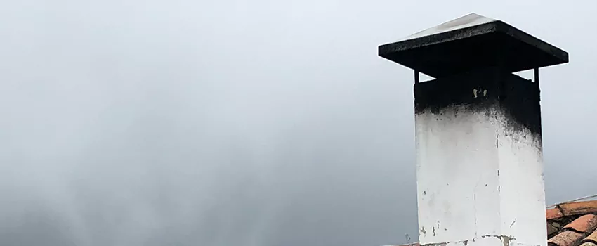 Multi-flue Chimney Caps Installation And Repair in Victoria, BC