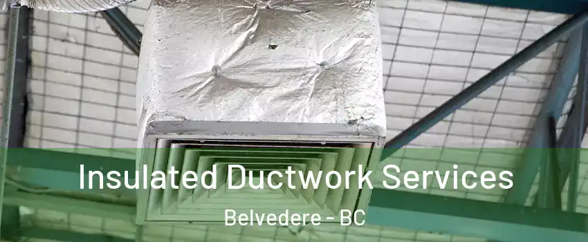  Insulated Ductwork Services Belvedere - BC