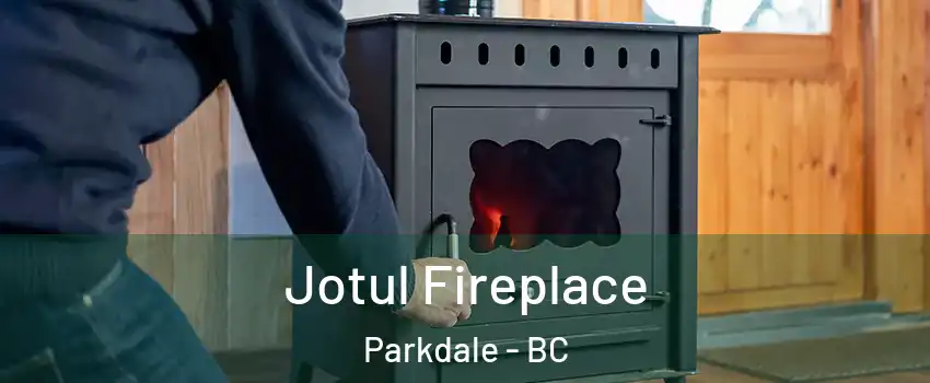  Jotul Fireplace Parkdale - BC