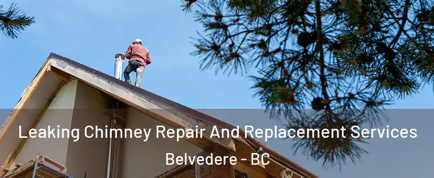  Leaking Chimney Repair And Replacement Services Belvedere - BC
