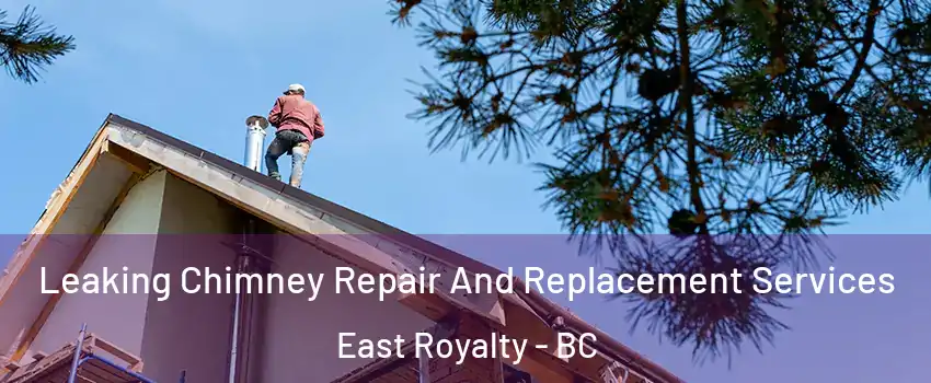  Leaking Chimney Repair And Replacement Services East Royalty - BC